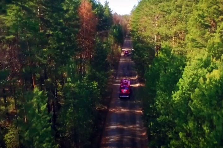 Крупнейший алтайский лесозаготовитель заявил о массовых увольнениях из-за конфликта с властями