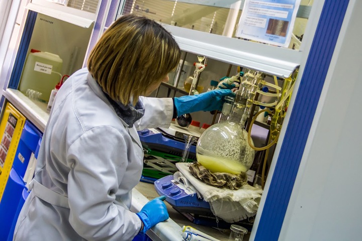 Что происходит с российской наукой: старые дрожжи кончаются