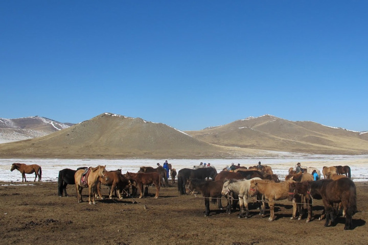 «Реки без границ»: ГЭС в бассейне Селенги могут обанкротить Монголию «Реки без границ»: ГЭС в бассейне Селенги могут обанкротить Монголию
