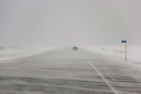 Многодетный иностранец в Новосибирске осужден за доставку героина из Кузбасса