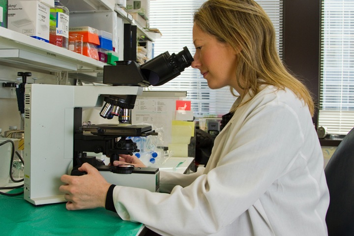 Почему ученые из Европы и Китая перестали приезжать в Россию