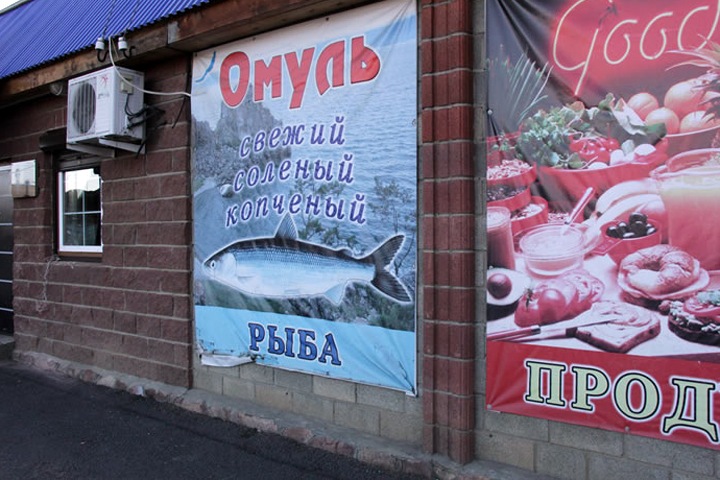 Запрет на омуль. На восстановление запасов рыбы нужно не менее 10 лет Запрет на омуль. На восстановление запасов рыбы нужно не менее 10 лет