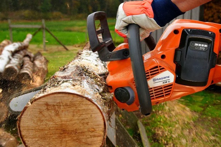 Особенности выбора аккумуляторных цепных пил