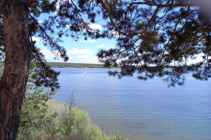 Новые аферы с землей в курортной зоне: после расследования махинаций посадили экс-мэра Бердска