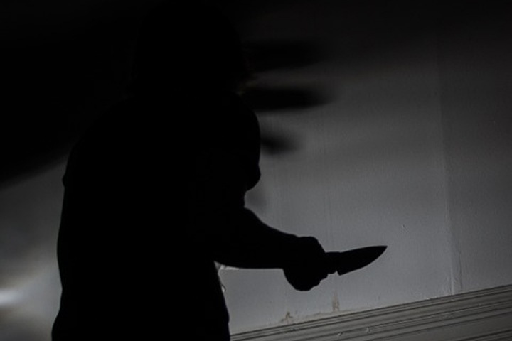 Красноярец зарезал подругу и ее четырехлетнюю дочь из ревности Красноярец зарезал подругу и ее четырехлетнюю дочь из ревности