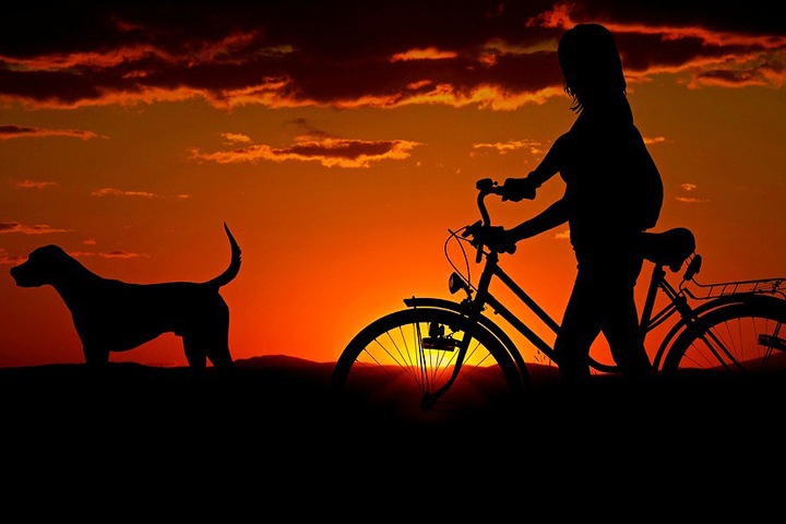 Томич хотел застрелить собаку, но попал в ребенка