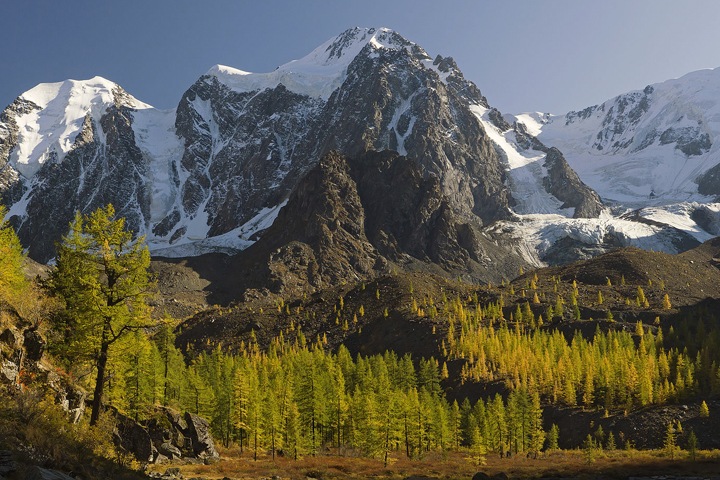 Бедный Алтай и богатый Красноярск. Числа недели Бедный Алтай и богатый Красноярск. Числа недели