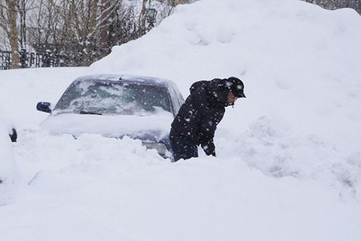 Общественники попросили Путина ввести технику в Новосибирск