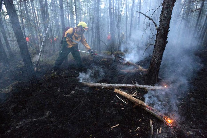 Российские ученые научили нейросеть оценивать последствия пожара Российские ученые научили нейросеть оценивать последствия пожара