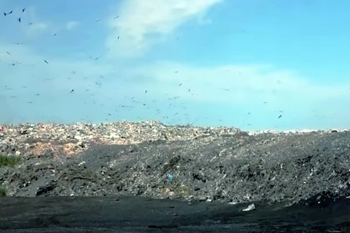 Зампред строительного комитета заксобрания о разрыве «мусорной концессии»: Шесть лет топтания на месте