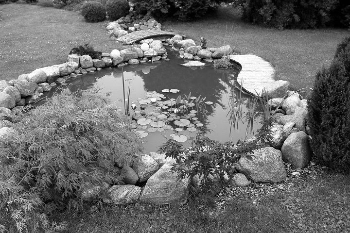 Омич пойдет под суд из-за гибели падчерицы в пруду Омич пойдет под суд из-за гибели падчерицы в пруду