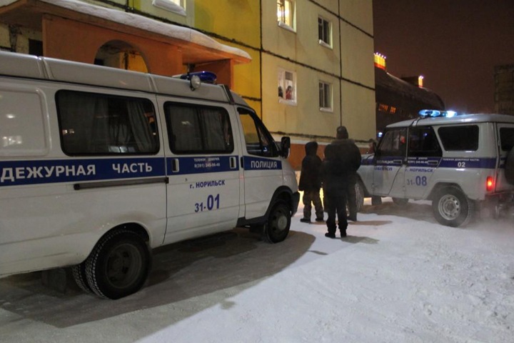 Дикий волк облюбовал подвал многоэтажки в Норильске Дикий волк облюбовал подвал многоэтажки в Норильске