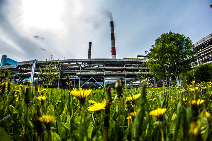 Председатель Совета директоров «СИБЭКО» подвел итоги работы Общества