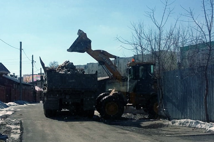 Гору трупов животных вывезли с улиц Новосибирска