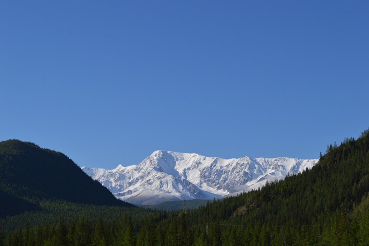 Землетрясения на Алтае докатились до Новосибирска Землетрясения на Алтае докатились до Новосибирска
