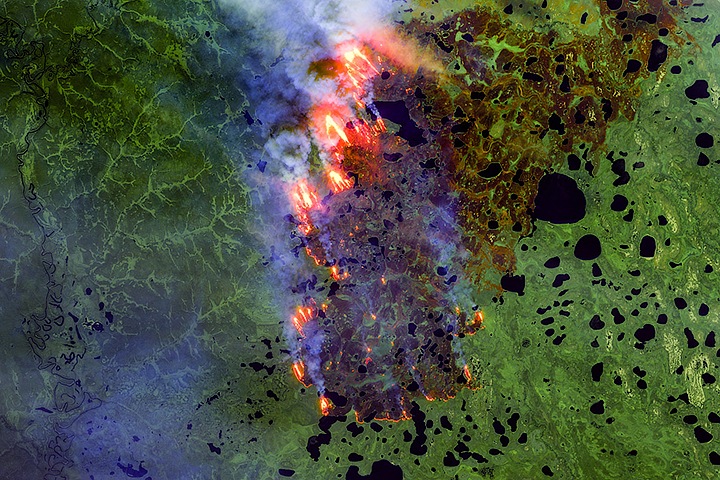 Пожары в Восточной Сибири выделили 540 мегатонн углекислого газа