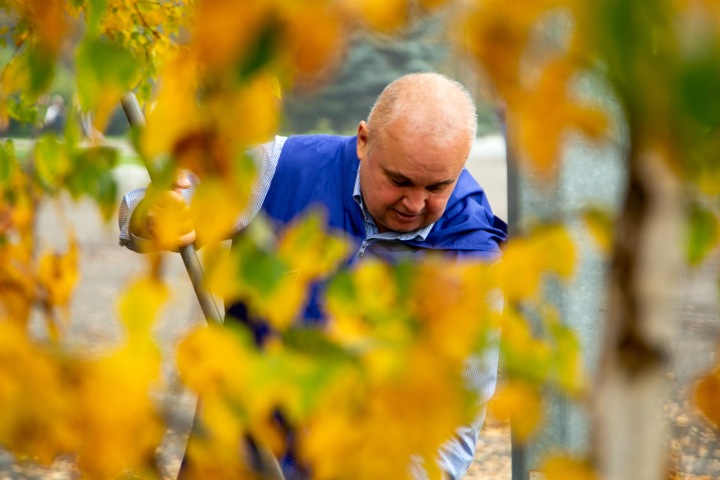 «Приглашенные звезды» и обаятельный балласт. Кто поможет Цивилёву править Кузбассом