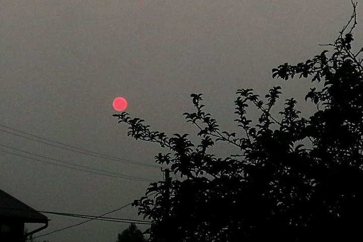 Стало известно, когда дым от лесных пожаров уйдет из Западной Сибири