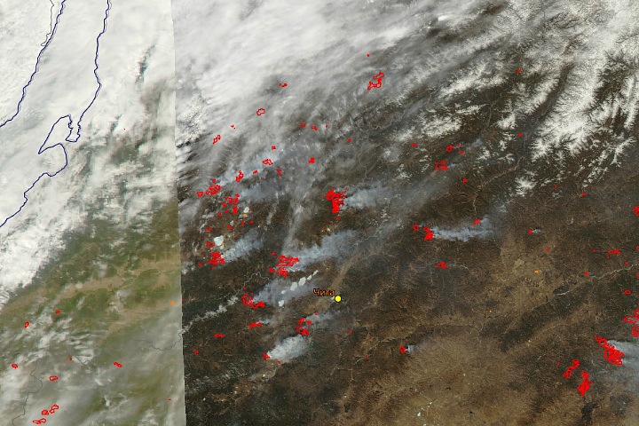 Greenpeace: 98% лесных пожаров не попали в сводки, треть из них приходится на Забайкалье Greenpeace: 98% лесных пожаров не попали в сводки, треть из них приходится на Забайкалье