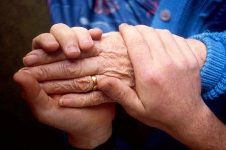 Горячая линия откроется в Новосибирской области в Декаду пожилых людей