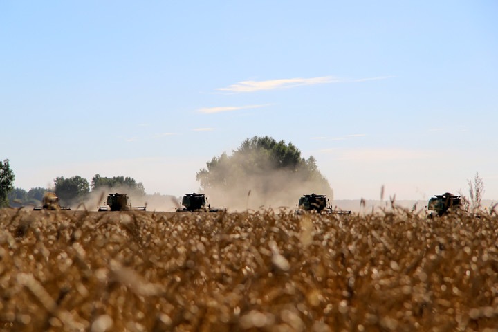 Посевная резко подорожала в Новосибирской области Посевная резко подорожала в Новосибирской области