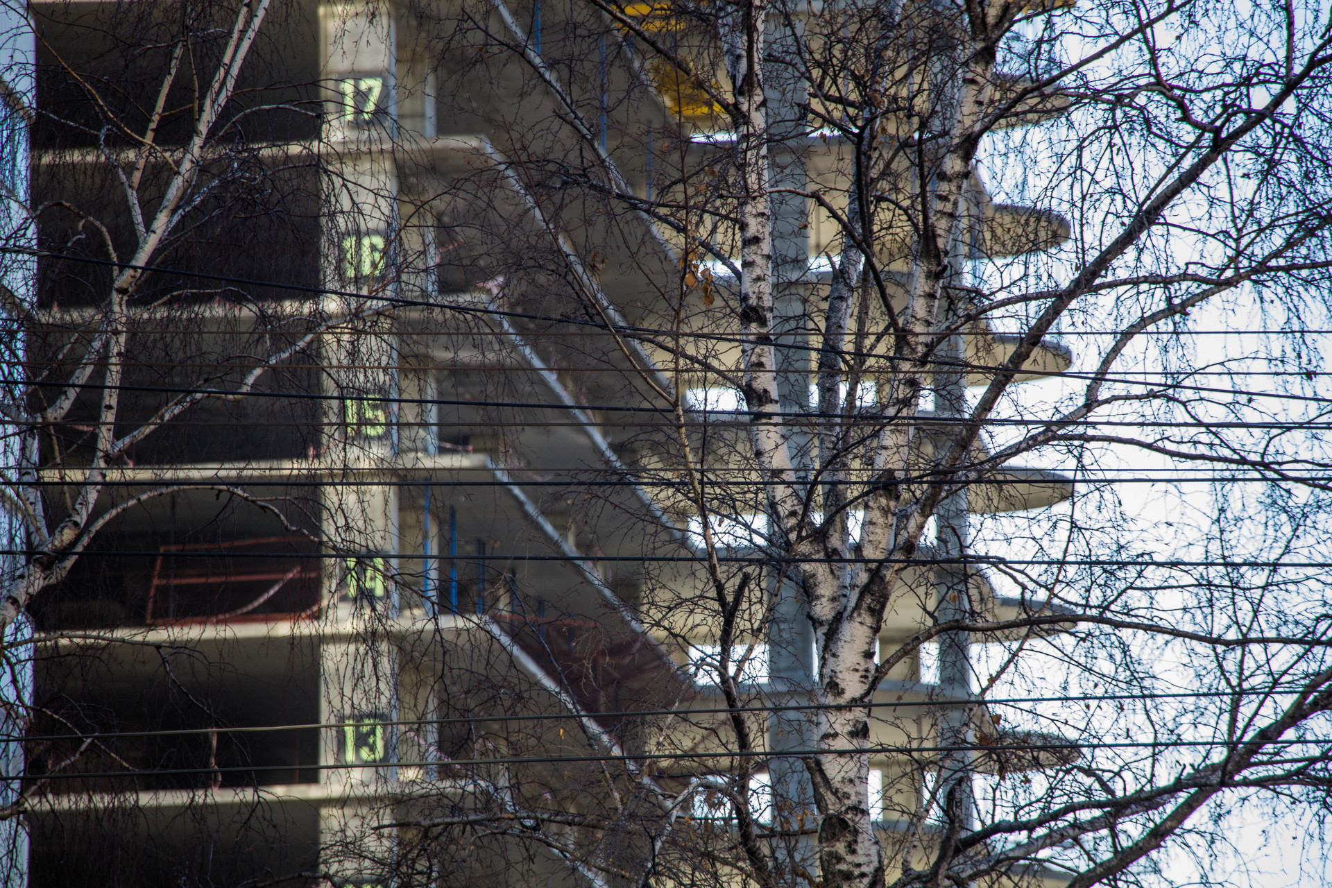 Правительство Новосибирской области подтвердило планы по вводу жилья на 2016 год