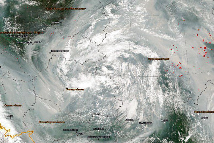 Эксперт WWF рассказал об опасности смога от пожаров в Сибири