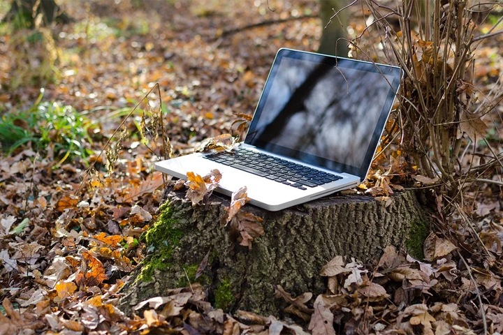 Бесплатный уличный Wi-Fi появится в сотнях алтайских сел