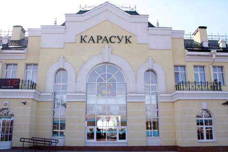 Власти объявили карантин по бешенству в Карасуке