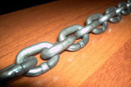 Жительница Алтайского края сажала детей на цепь, уходя на работу 