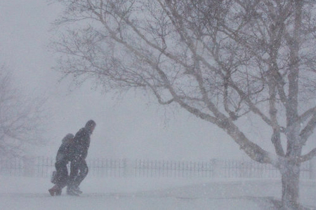 Метели и ветер до 27 м/с ожидаются в Новосибирской области Метели и ветер до 27 м/с ожидаются в Новосибирской области