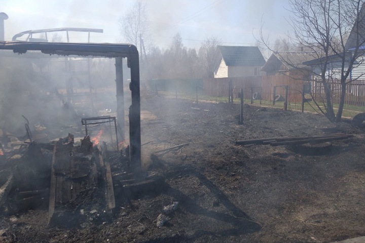 Палы травы подошли к жилью в Новосибирской области. Фото Палы травы подошли к жилью в Новосибирской области. Фото