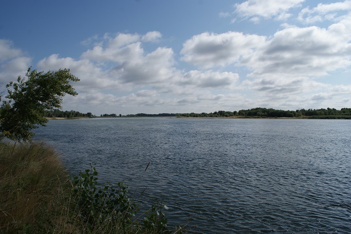 «Проблеме стараются придать политический характер»: эксперты из разных стран обсудили в Новосибирске «водную дипломатию» Центральной Азии
