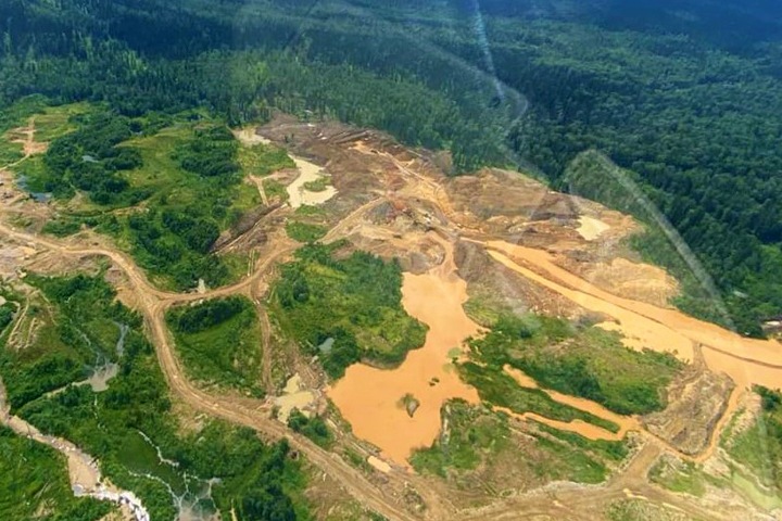 Золотодобытчики загрязнили реки Кузбасса на протяжении 560 км
