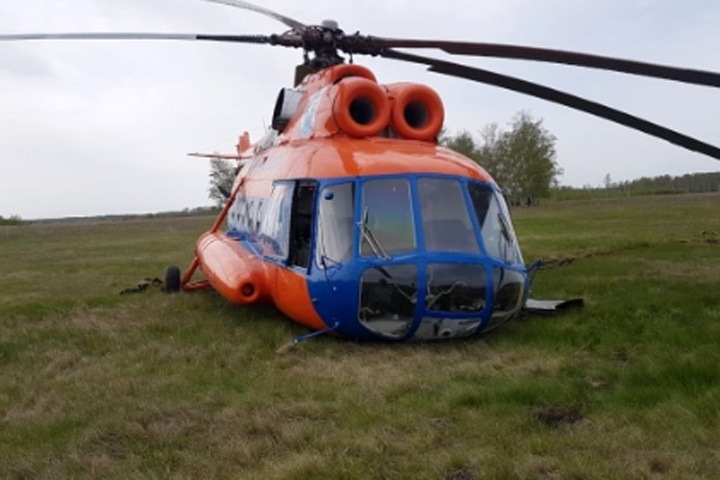 Вертолет аварийно сел на территорию омского свинокомплекса из-за стаи птиц