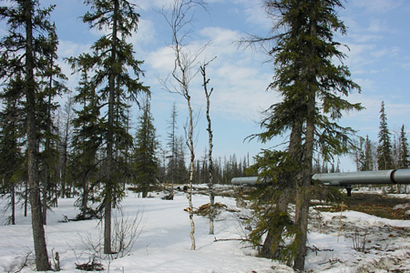 Структуры олигарха Тимченко требуют с «Ванкорнефти» более миллиарда долгов Структуры олигарха Тимченко требуют с «Ванкорнефти» более миллиарда долгов