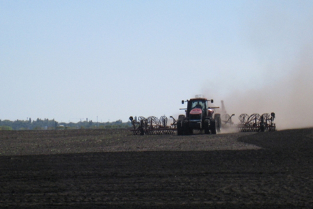 Сев зерновых культур начался в Новосибирской области
