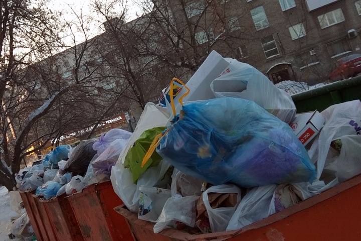 ФАС завела дело на «Экологию-Новосибирск»