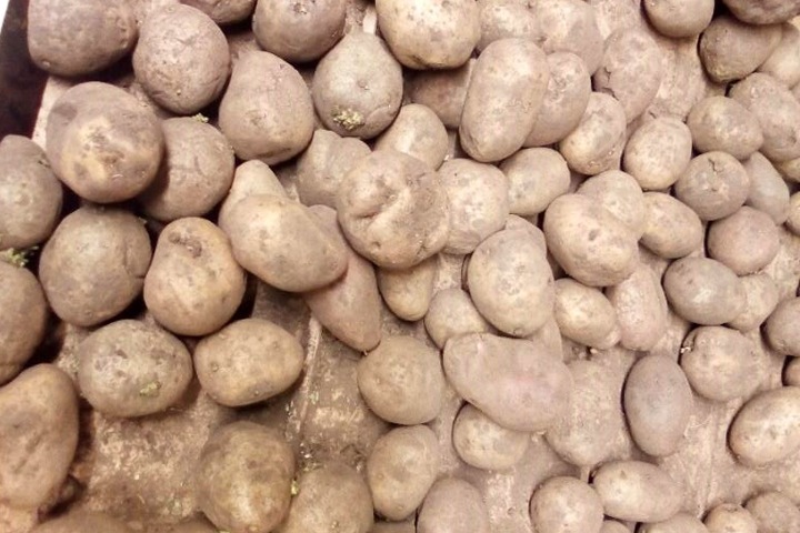 Картофель подорожал более чем вдвое, лук подешевел в полтора раза: мониторинг цен в Новосибирске