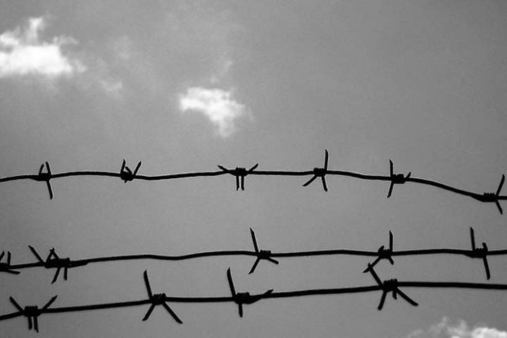 Экс-главе Станционного сельсовета назначили реальный срок за махинации с землей 