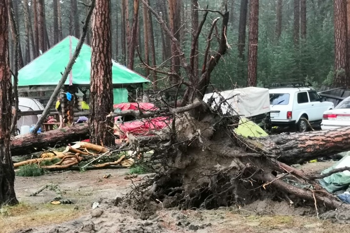 Красноярская прокуратура назначила проверку после смерти девушки под упавшим деревом Красноярская прокуратура назначила проверку после смерти девушки под упавшим деревом