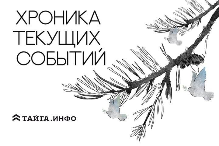 Хроника текущих событий. Экономика, общество, политика. Выпуск 297 Хроника текущих событий. Экономика, общество, политика. Выпуск 297