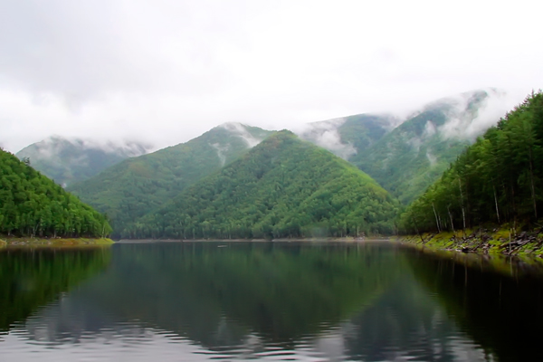 Через 7 километров уже Китай: чем помогли Зейская и Бурейская ГЭС природе и человеку Через 7 километров уже Китай: чем помогли Зейская и Бурейская ГЭС природе и человеку