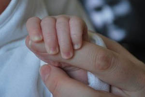 Строительство перинатального центра в Новосибирске планируют завершить в 2015 году