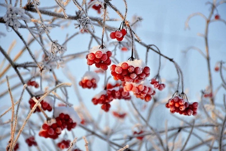 Резкое похолодание ожидается в Новосибирской области Резкое похолодание ожидается в Новосибирской области