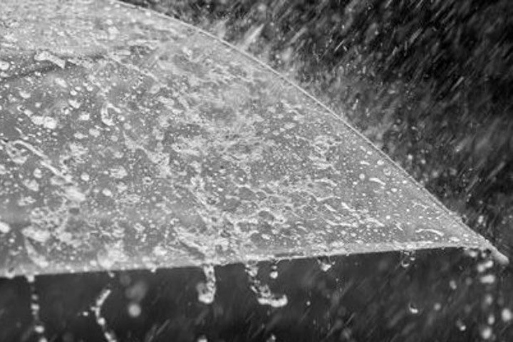 Дожди и шквалистый ветер ожидаются в Новосибирской области Дожди и шквалистый ветер ожидаются в Новосибирской области