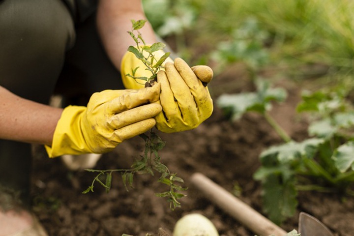Возьми интернет на дачу: Билайн подарит дачникам 3 месяца связи и безлимитный интернет Возьми интернет на дачу: Билайн подарит дачникам 3 месяца связи и безлимитный интернет
