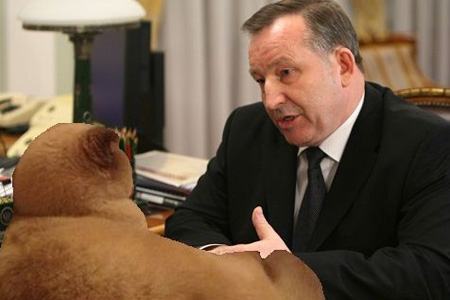 Guardian: Недовольный сибирский город хочет сделать кота мэром Guardian: Недовольный сибирский город хочет сделать кота мэром