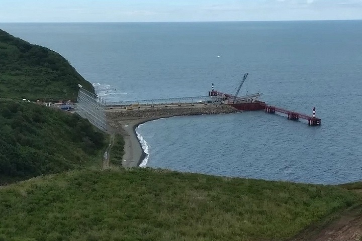 «Ростех» и его партнеры хотят забрать у наследников Босова долю в порту Вера