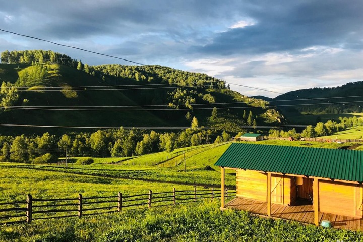 Пантовое хозяйство продается за 155 млн на Алтае